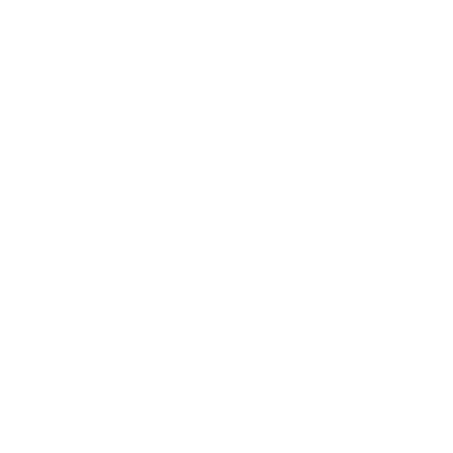 Project management